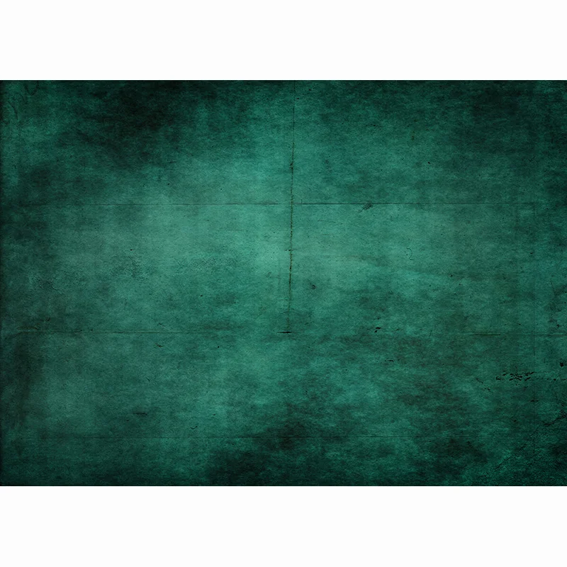 Ƽ  渷 ǰ ׷  ʻȭ  ׸ ׸  Ʃ  22815 VF-02