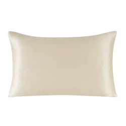 Premium 100% Mulberry Silk Pillowcase with Zipper - Luxurious and Healthy Sleep in Multicolor Options - 40x80 cm (Beige gray)
