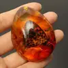 5*4cm Beautiful Amber Butterfly Insects Stone Pendant Necklace Gemstone For DIYJewellery Pendant Crafts Home Decoration C1Z6 2