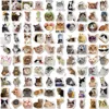10/50/100pcs Funny Cute Cat MEME Animals Stickers Kawaii Decals Scrapbooking Notebook Luggage Laptop Skateboard Sticker Toy 6