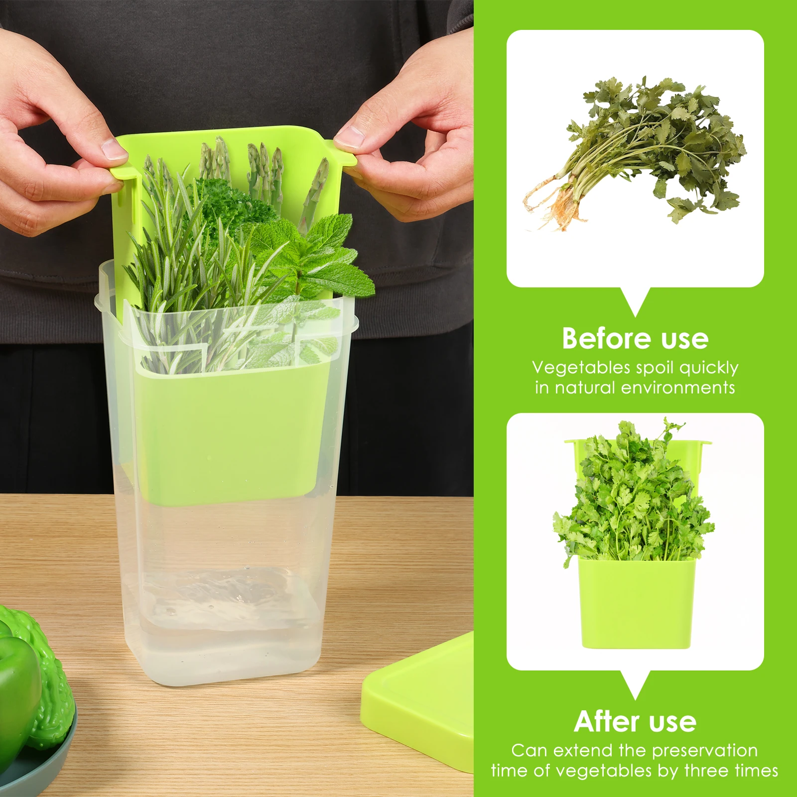 Herb Saver for Refrigerator 4