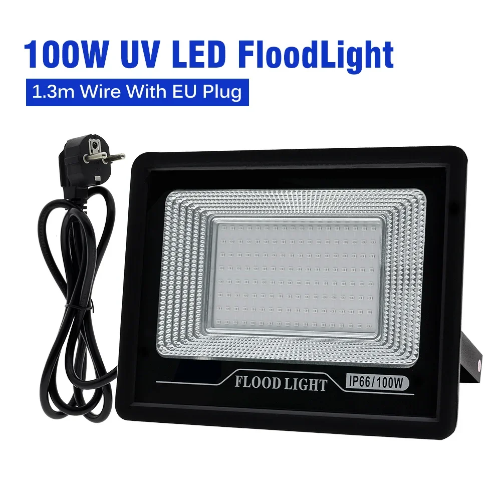 100W EU Plug