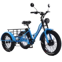 24 pouces 3 roues vélo électrique hors route 750w48v passager Tricycle électrique 2 places pour femme homme VTT 2