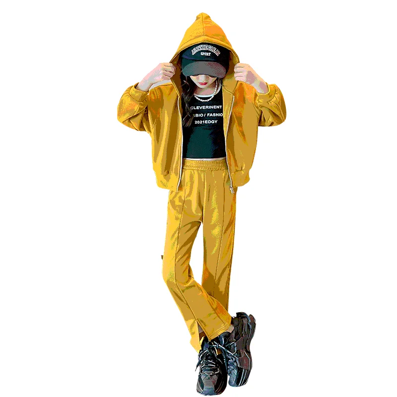 

New Autumn Kids Tracksuit Toddler Girls Clothes Sets Long Sleeve Hooded Jacket Tops+Pants Baby Girls Outfits 2 3 4 5 6 8 10 12Y