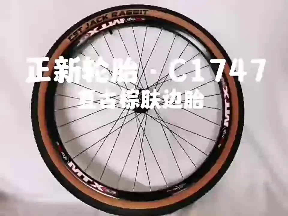 Cst-マウンテンバイクタイヤパーツ,耐パンク性,c1747,29インチ,29x2.25
