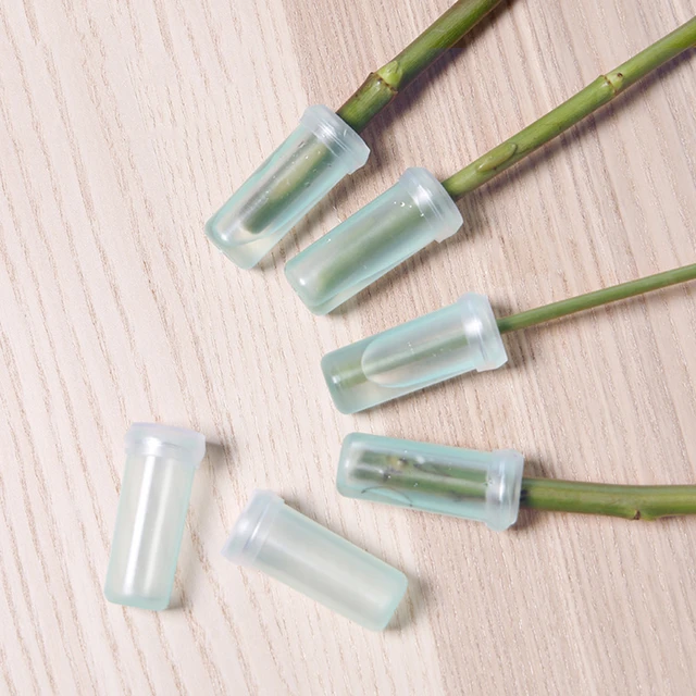 Cut Flower Water Tubes informacionpublica.svet.gob.gt