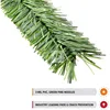 Hedge Slats for Chain Link 4 Ft. 2