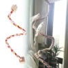 Pet Bird Rope Hanging Parrot Perch Rope Colorful Cotton Rope Toy Elastic Budgie Climbing Chewing Toy Bird Swing Stand Pet Toy 6