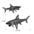 Shark-4