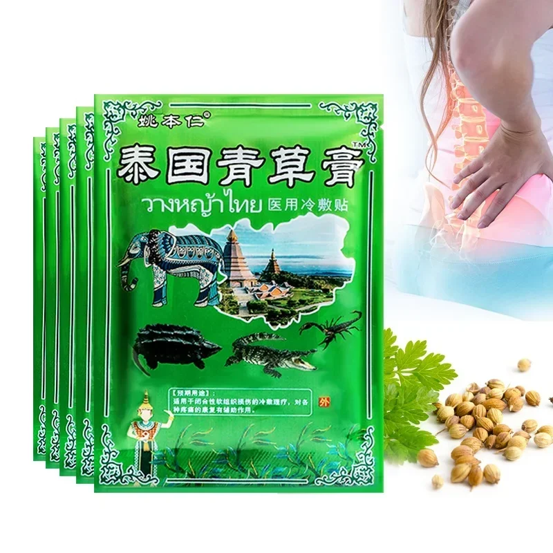 

Knee Pain Medical Plaster Wormwood Extract Joint Ache Relief Muscle Pain Sticker Rheumatoid Arthritis Painkiller Patches Health