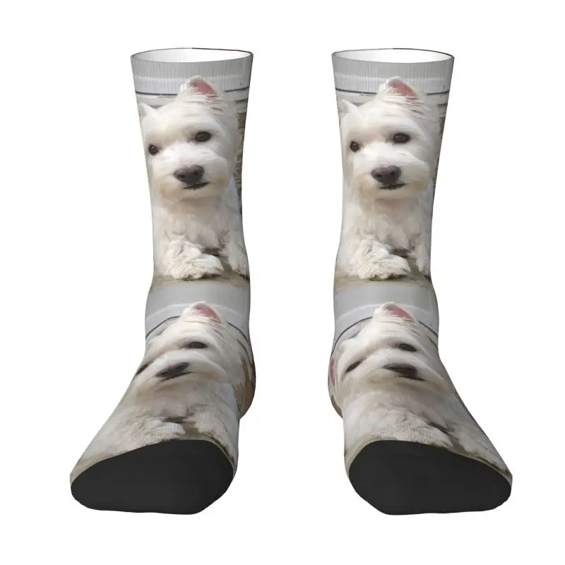 

West Highland White Terrier Men Women Crew Socks Unisex Fashion Pet Westie Dog Spring Summer Autumn Winter Dress Socks