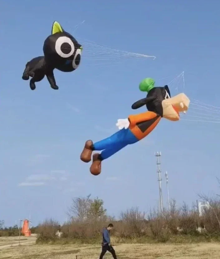 Delta Kite 3.5m Goofy Dog Kite for Adults Outdoor Soft Wind Indicator