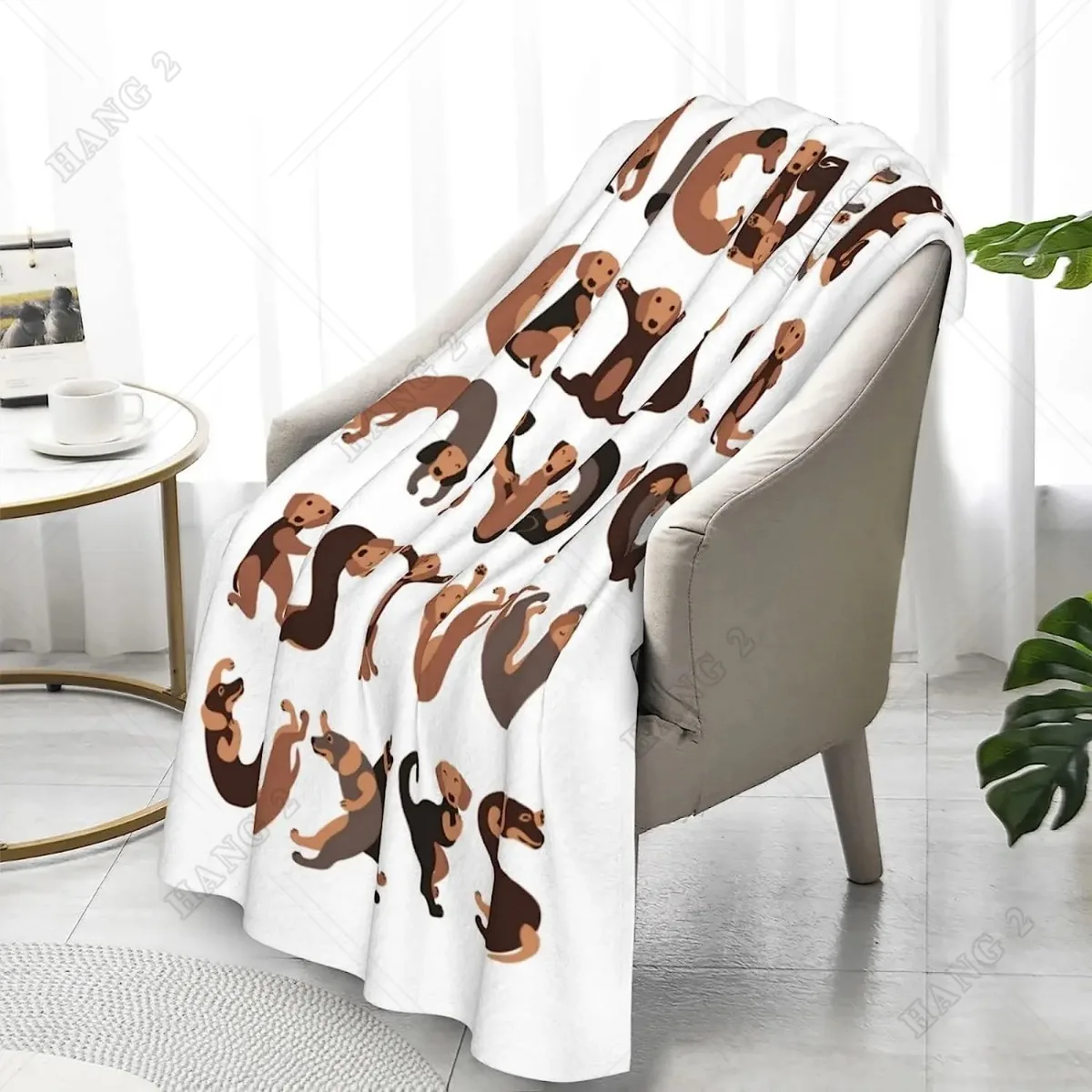 ����ִ� �ڽ���Ʈ ���ĺ� ������ ���, �Ϳ��� ������ ���ĺ�, ���� ����Ʈ ������ ���, ħ�� ���� ����, ���� ķ��