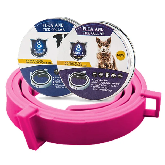 pink-box-1pc