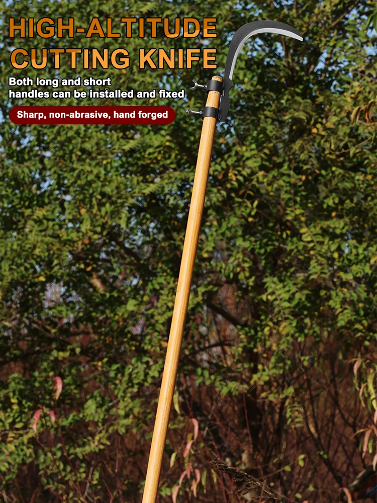 Slide image cb36042a5b374d4da9c05d834bdc125a