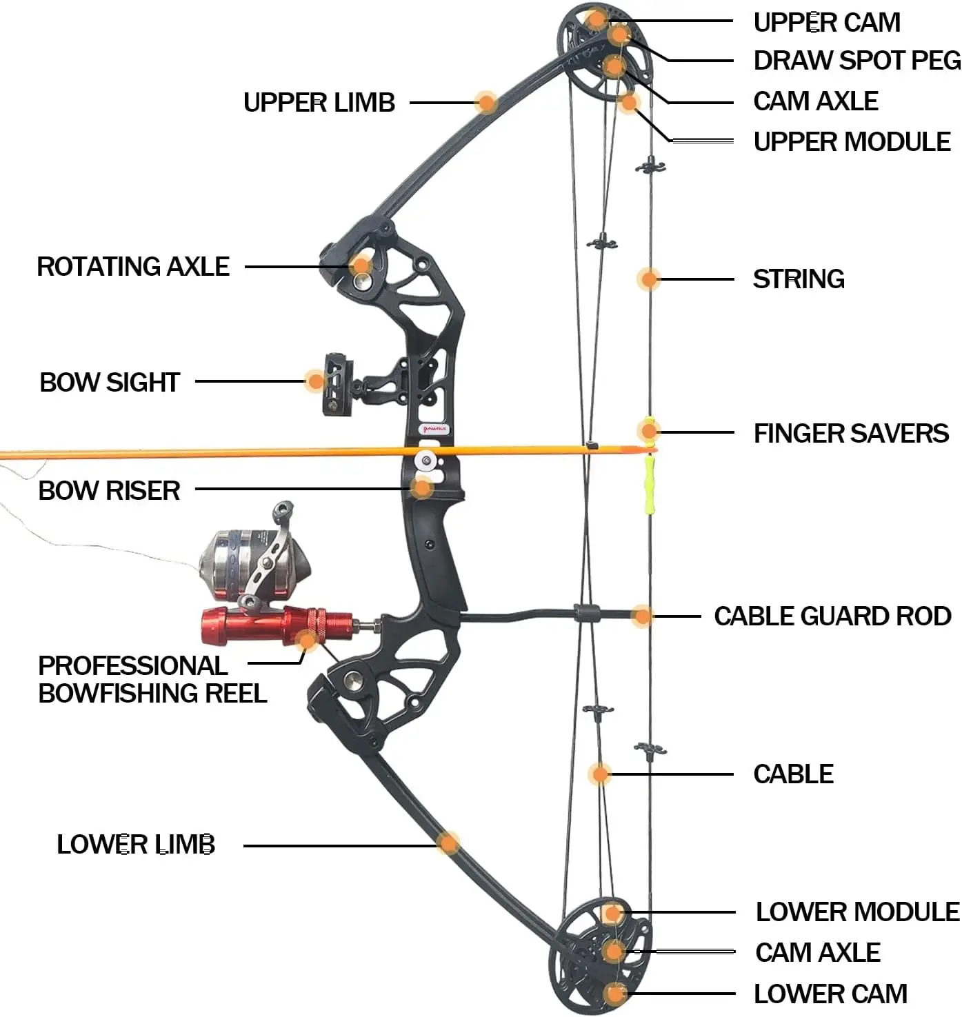 Bow Kit with Arrow Ready to Shoot Right Handed 15-45 LBS Draw Length 18"-29.5" Adjustable,Axle-to-Axle: 34.2",Complet