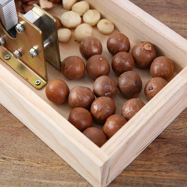 Rustproof Macadamia Opener Multipurpose Durable Tongs Walnut Tool Non Slip  Metal Kitchen Nut Cracker With Handle Peeling Machine