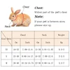 Cute Angel Wing Pet Rabbit Harness and Leash for Cats Rabbits Personalized Rabbit Harnesses Bunny Accessories Hamster Clothes 6
