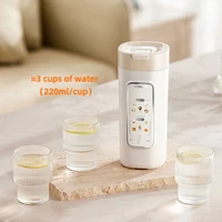 Bouilloire électrique mini 650 ml, portable pour la maison et la voiture, tasse chauffante multifonctionnelle, pot à eau bouillante, théière de voyage pour l'extérieur, 12V 24V 220V 3