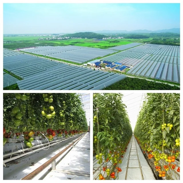 60 G Gyors Hatású Vegyület Műtrágya Nitrogén, Foszfor És Kálium Növényi Lombozat Szerves Virág Edény - Image 5