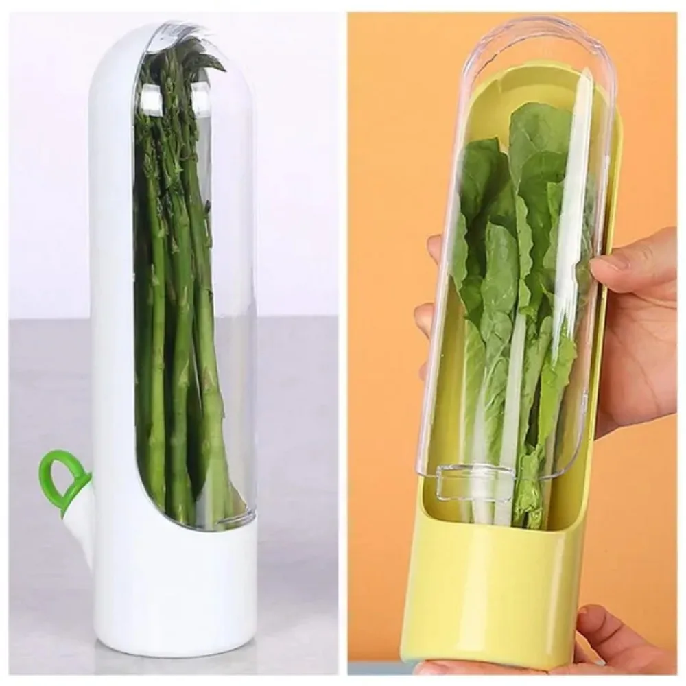 2Pcs Refrigerator Fresh Keeper for Vegetable Herbs Saver Storage Parsley Cilantro Containers 6