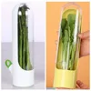 2Pcs Refrigerator Fresh Keeper for Vegetable Herbs Saver Storage Parsley Cilantro Containers 6