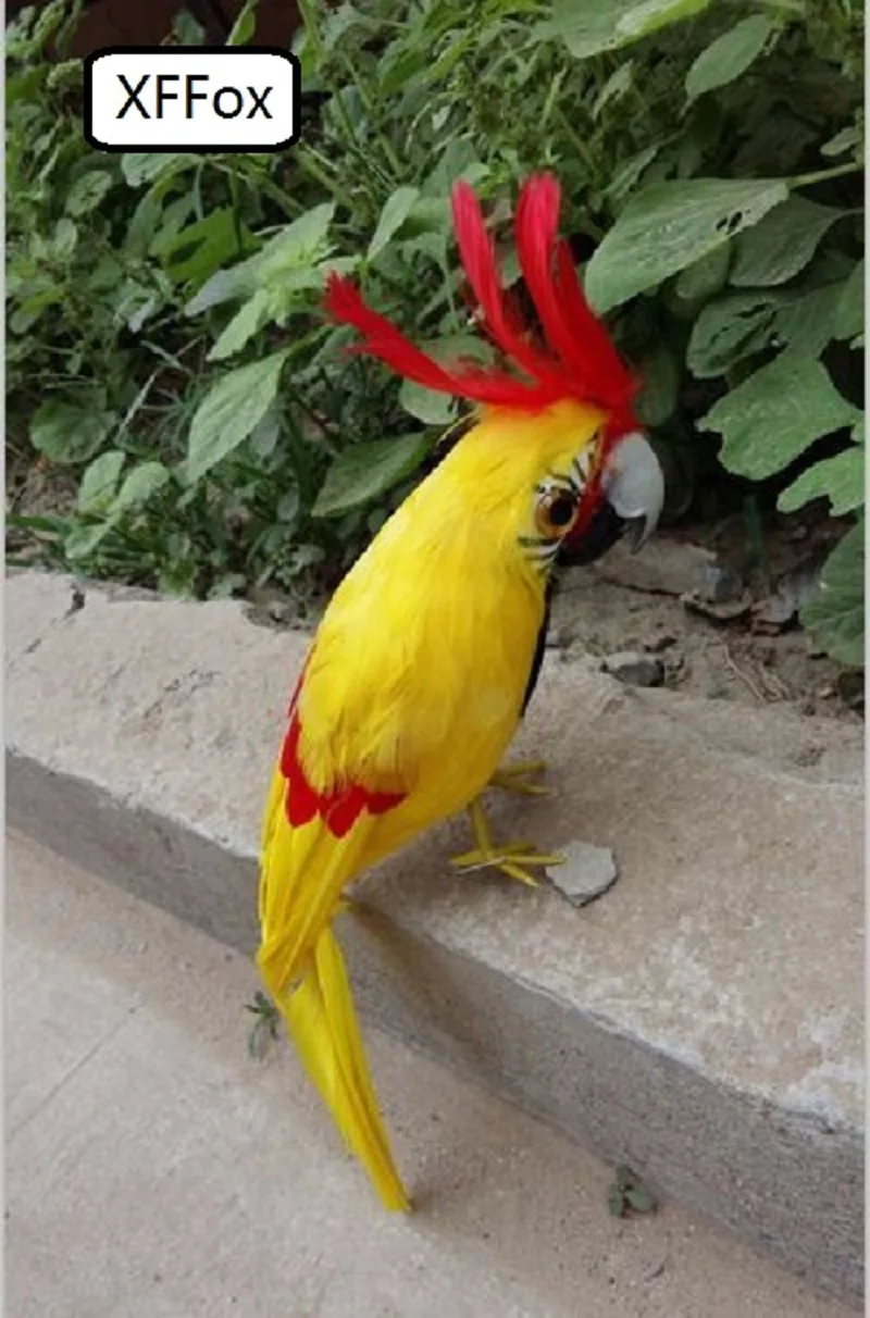 

Симпатичный желтый попугай реальной жизни Модель пены и пера симуляция такаду Птица Подарок около 30 см xf0229