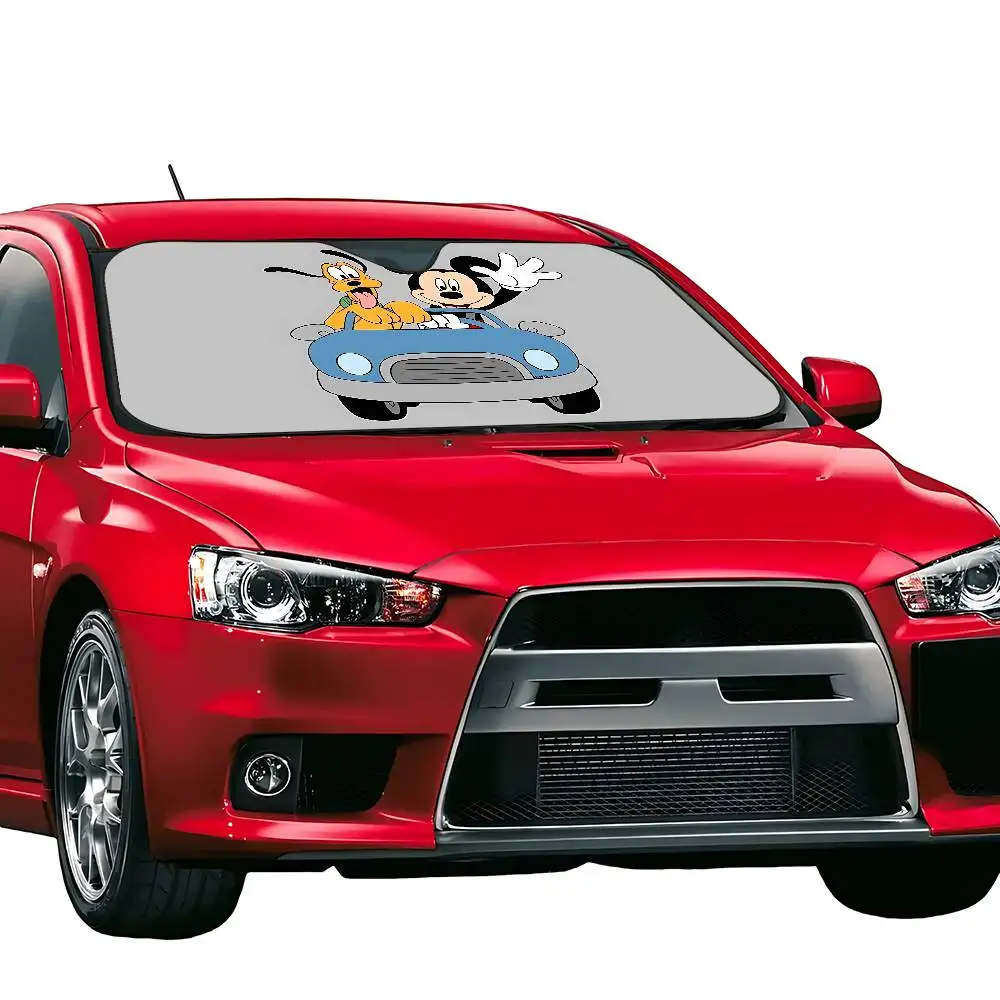 z6