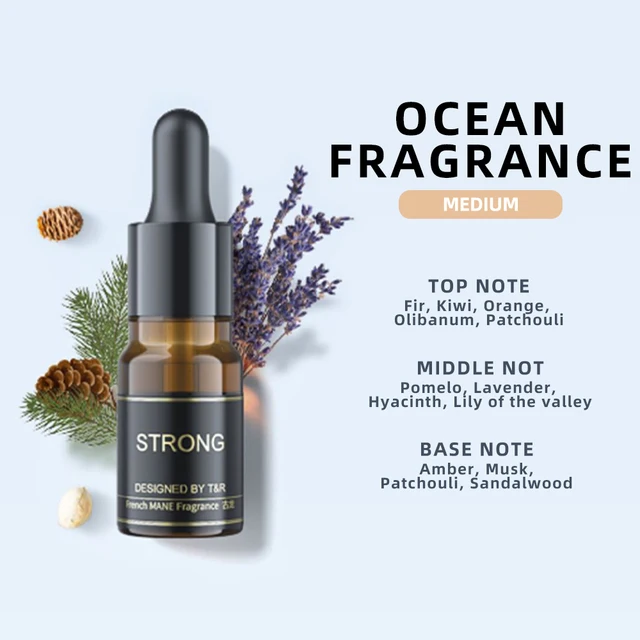 Désodorisant pour voiture, aromathérapie, huiles essentielles spécifiques, trois parfums floraux, océan, cologne, fournitures de voiture, 3 pièces 4