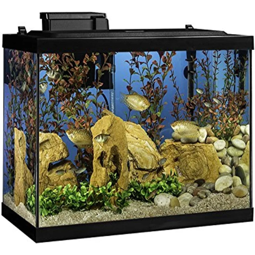 

Aquarium Fish Tank Kit with LED Lighting and Decor, Fishbowl Tanks, Aquatic Pet Home, Free Shipping, 20 Gallon