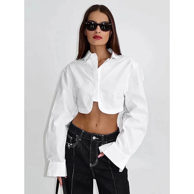 Spring 2024 French Style Commute Minimalist White Shirt Women's All-Match Cropped Cotton Shirt Professional Top Fengsb