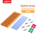 6mm Fin Gold