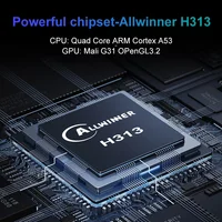 Android13 Телевизионный ящик 4K Allwinner H313 BT5.0 Google воспроизводит YouTube Tiktok HDR10 2G16G Двойной 2,4 / 5 ГБ WiFi Потоковая приставка Q1 — изображение 2