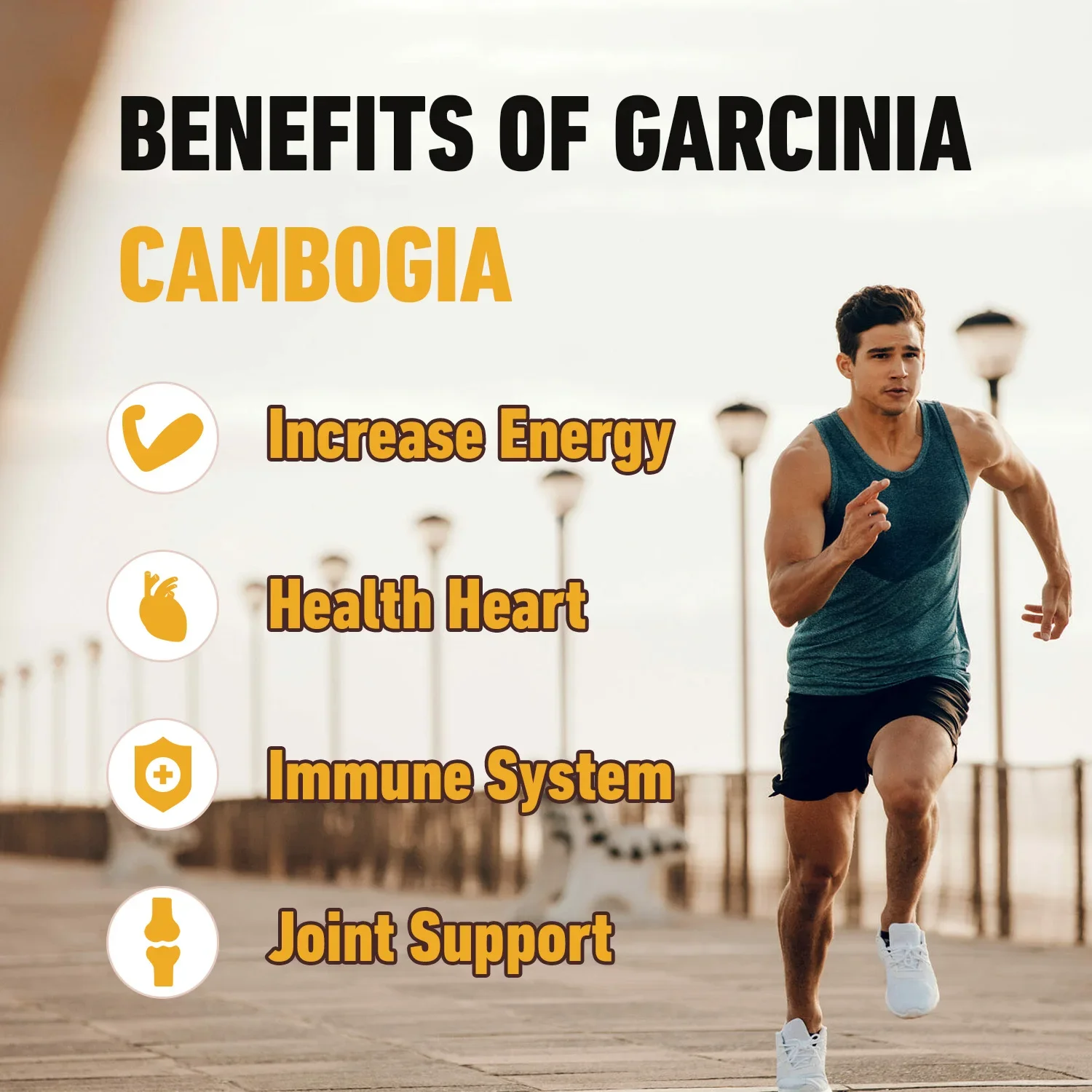 Garcinia Cambogia Fat Burner Detox Appetite Suppressant Skin Beauty Energy Metabolism Supplement garcinia cambogia extract