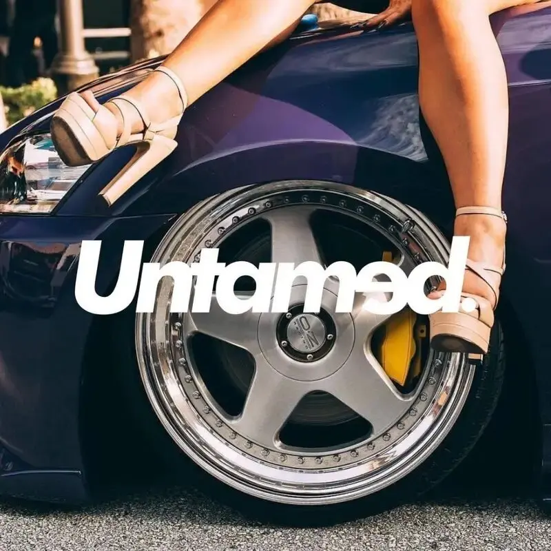Untamed Stickers: Creative & Fashionable High-Quality Decals for Cars, Trucks, Motorcycles, and Laptops