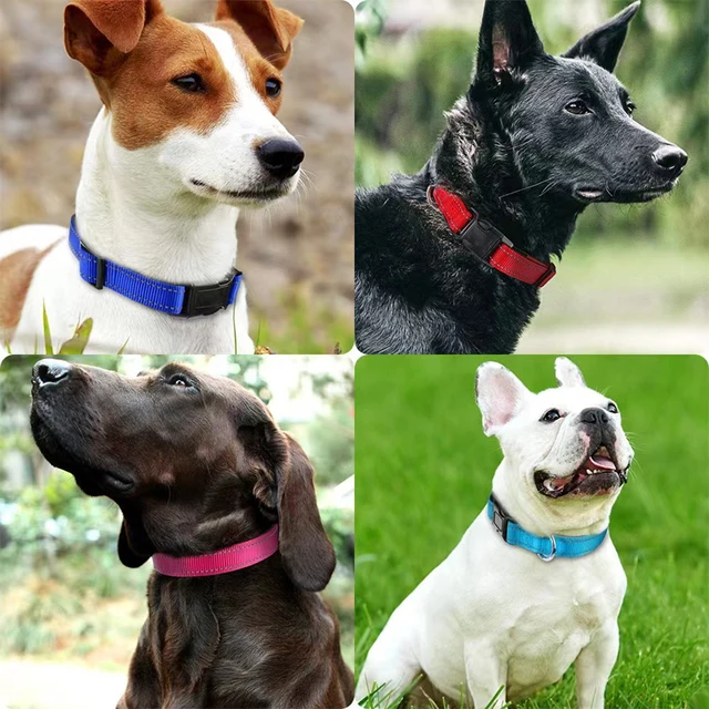 Reflective Adjustable Dog Collar 6