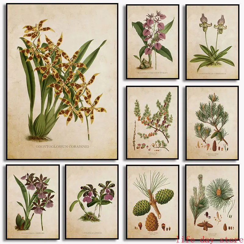 Vintage Orchid Flower Eastern Hemlock Pine Tree Canvas Painting Plant Flora Poster Paint For Living Room Home Decor Frameless
