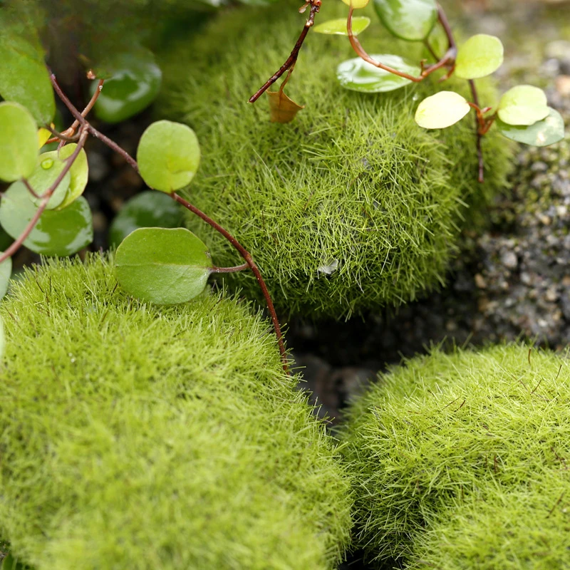 Simulated Fake Moss Fake Stone Plush Micro Landscape Succulent Decorative Accessories