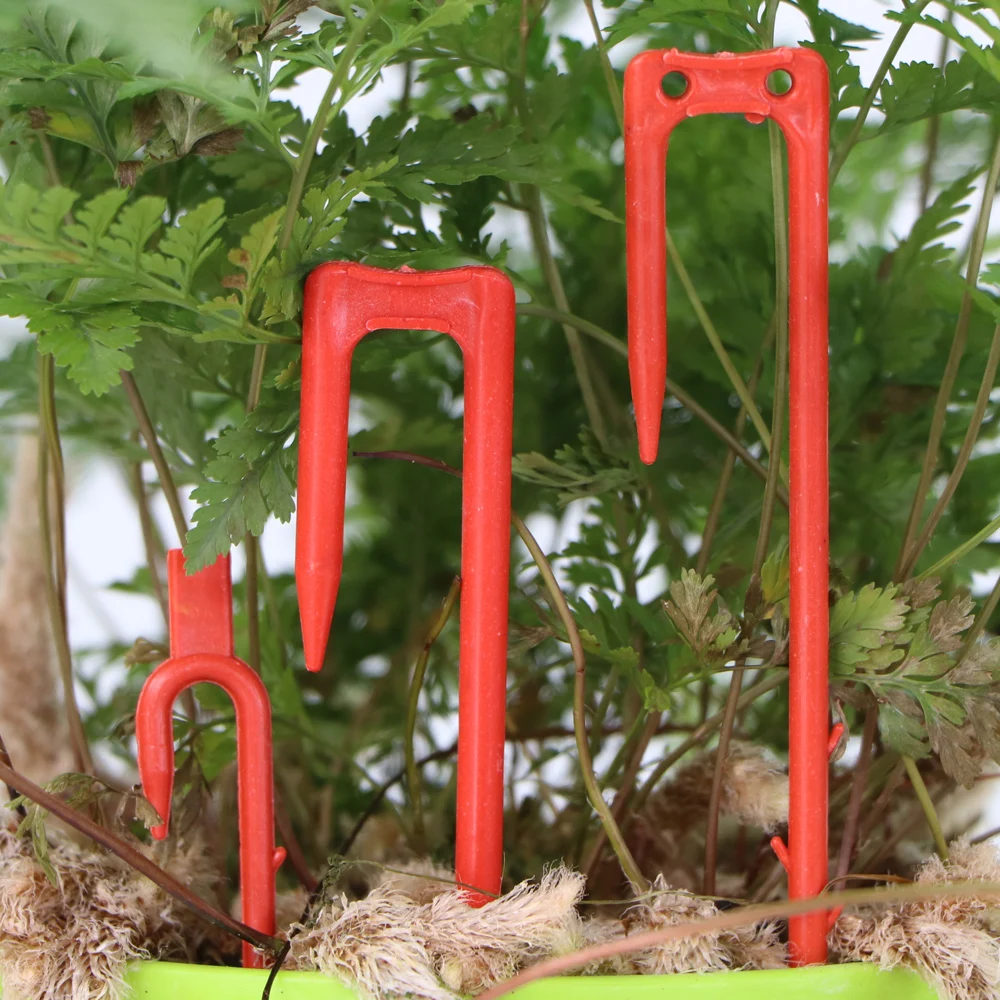 Fork 20-50PCS Strawberry Planting Dig 50mm 93mm 108mm Stolon Fixator Vine Pressing Device Watermelon Climbing Stem Clips plant clips plastic plant clips