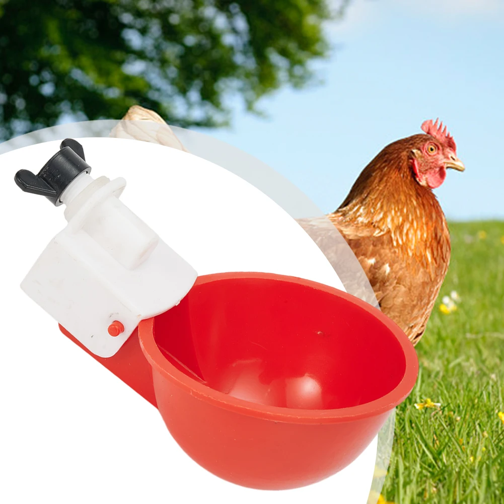 

Cups Chicken Waterer All Poultry 4PCS Automatic Chicken Drinker Chicken PC Poultry Drinker Watering Cups For Brand New