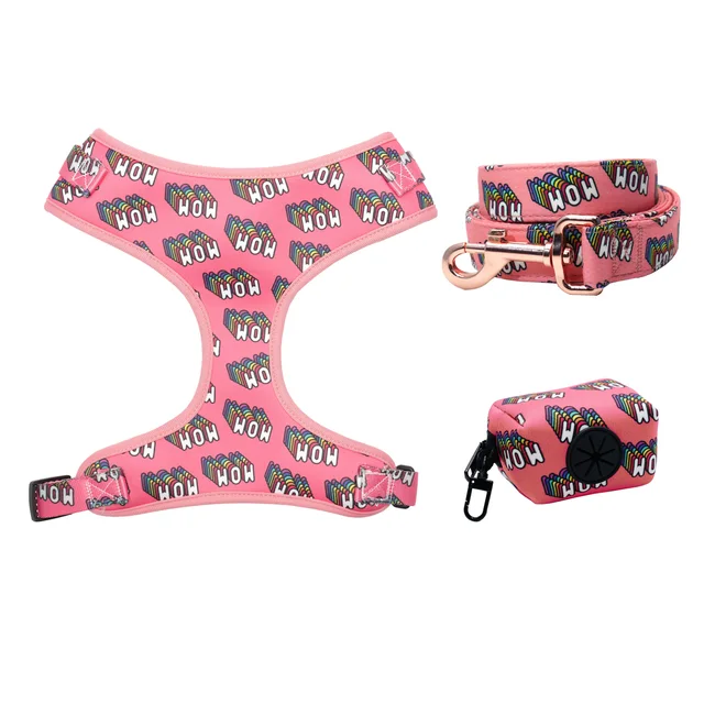 harness-bag-leash