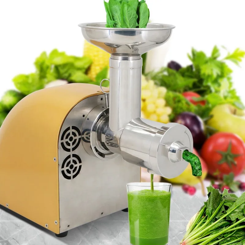 304 S.S Juicers Original Juicer Low Speed Celery Juicer Fully Automatic Multifunctional Slow Grinder for Fruits and Vegetables 4