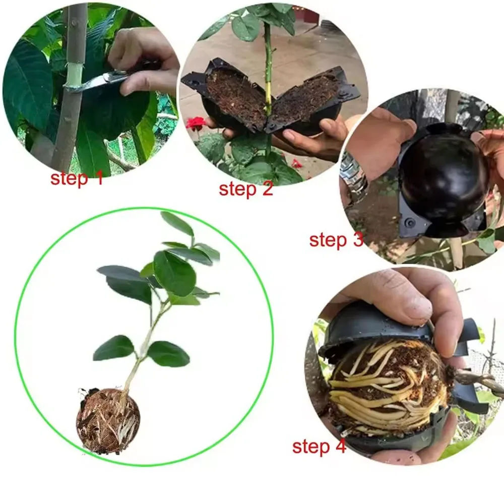 Botanical Rooting Propagation System - Garden Planting Supplies & Accessories