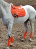 black color corrective lined half pad riding horse on horse back saddle pad equestrian equipment 6