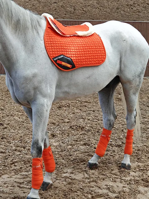 black color corrective lined half pad riding horse on horse back saddle pad equestrian equipment 6