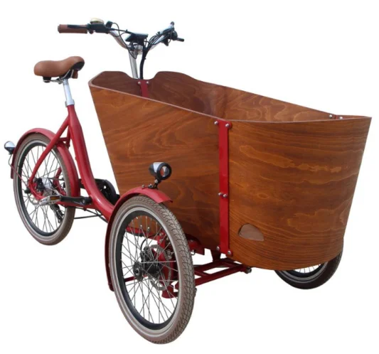 20'' Big Volume 3 Wheels Cargo Electric Tricycle Long Family Cargo Ebike 2022 Electric Cargo Tricycle