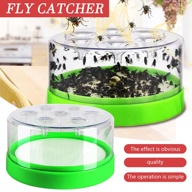 Piège à Mouches Réutilisable pour l'Intérieur et l'Extérieur, Cage Anti  Mouches et Insectes, Idéal pour une Fermes Familiale ou un Restaurant -  AliExpress