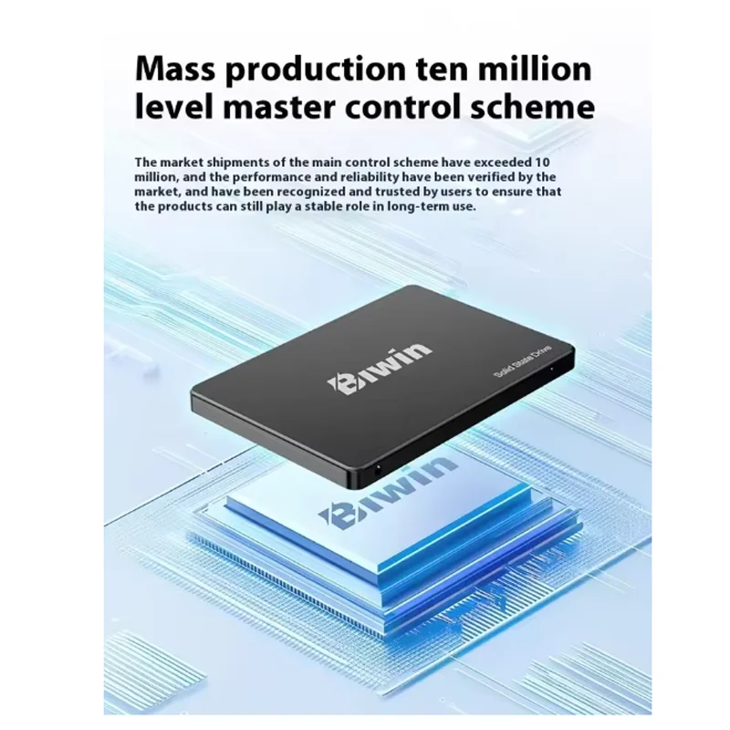 BIWIN M100 SSD 128GB 256GB 512GB 1TB 2TB SATAIII 2.5インチ