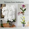 Meshpot Clear Plastic Orchid Pots with Holes and Saucers for Repotting Small Orchid Planters Root Control Orchid Transparent Pot 5