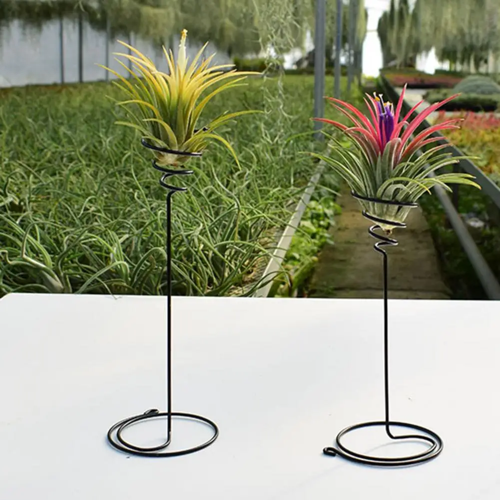 Présentoir à fleurs en spirale, design en fer, ananas à air, plantes vertes  T1, décoration de la maison